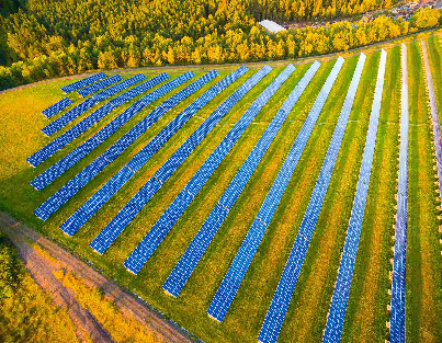 Campo com várias placas de energia solar dispostas em fileiras