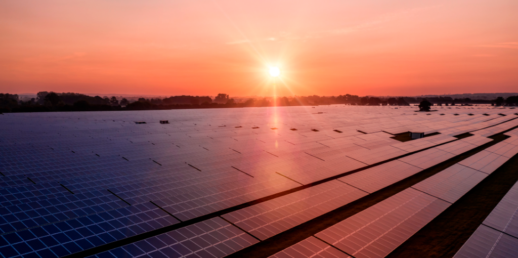Parque de geração de energia solar com fileiras de painéis solares. Energia solar na indústria: vantagens e crescimento no Brasil