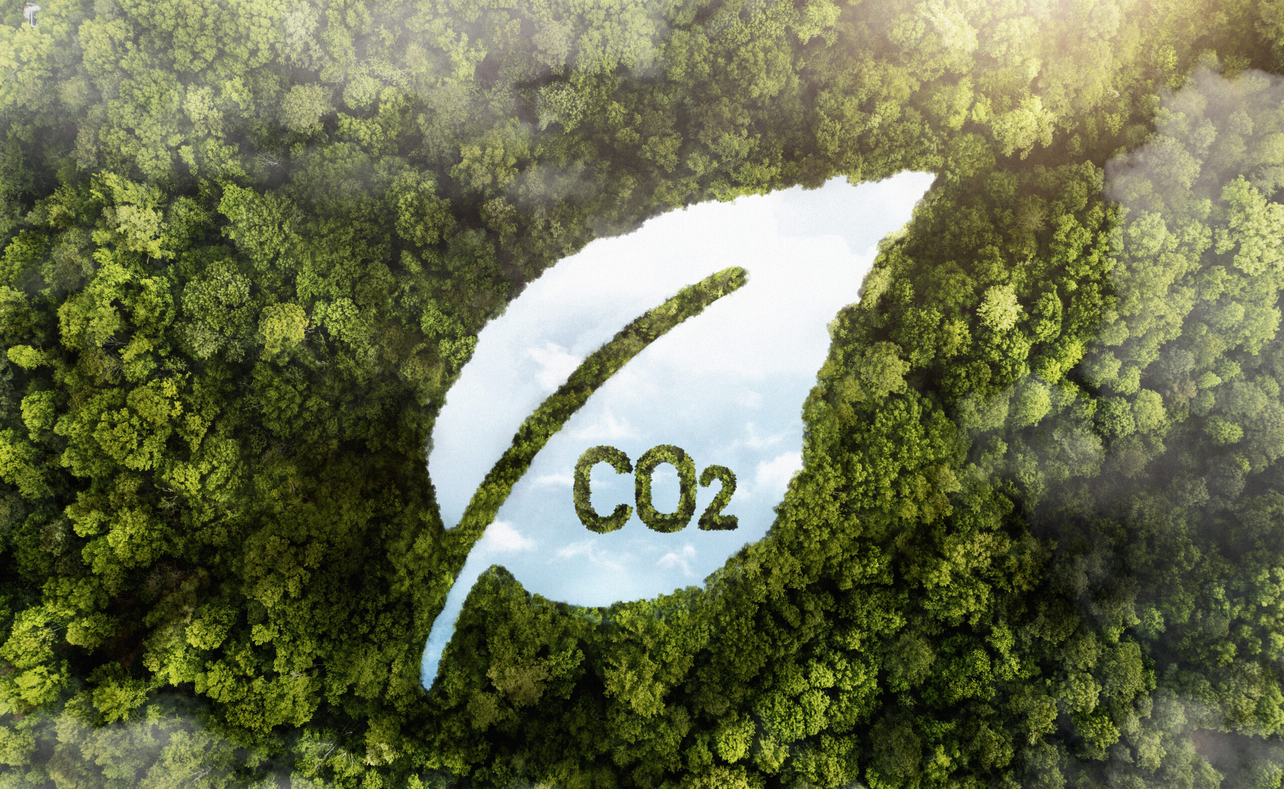Visão aérea de uma floresta densa com árvores verdes, mostrando uma área aberta em formato de pulmão contendo o texto "CO2" no centro, simbolizando a absorção de dióxido de carbono pelas florestas e sua importância para descarbonização e sustentabilidade ambiental.